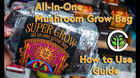 Hi guys, so these are the instructions for my all in 1 grow bag however step 4 has me stumped. . When to mix all in one grow bag